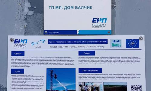 ЕРП Север обезопаси близо 4600 електрически стълба и постави 1152 дивертора в защита на птиците 